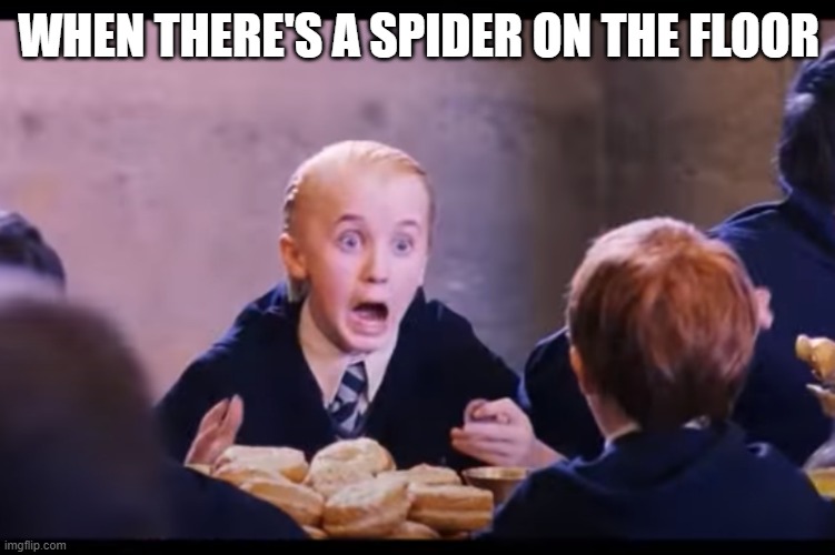 I hate spiders | WHEN THERE'S A SPIDER ON THE FLOOR | image tagged in draco scream | made w/ Imgflip meme maker