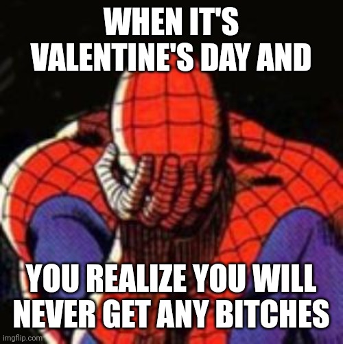 Depressed Spider Man |  WHEN IT'S VALENTINE'S DAY AND; YOU REALIZE YOU WILL NEVER GET ANY BITCHES | image tagged in memes,sad spiderman,spiderman | made w/ Imgflip meme maker