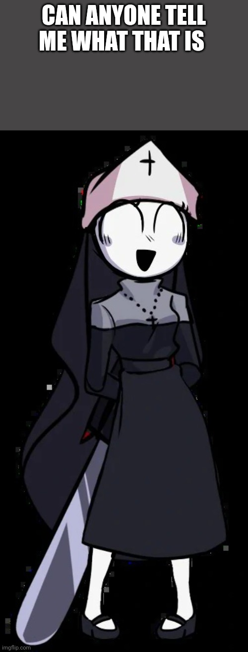 Taki | CAN ANYONE TELL ME WHAT THAT IS | image tagged in taki | made w/ Imgflip meme maker