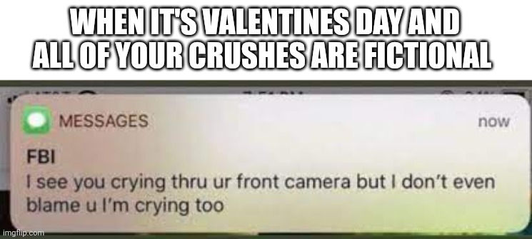 i see you crying thru your front camera | WHEN IT'S VALENTINES DAY AND ALL OF YOUR CRUSHES ARE FICTIONAL | image tagged in i see you crying thru your front camera | made w/ Imgflip meme maker