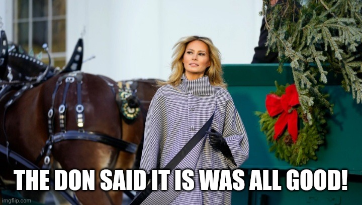Melania clydesdale | THE DON SAID IT IS WAS ALL GOOD! | image tagged in melania clydesdale | made w/ Imgflip meme maker