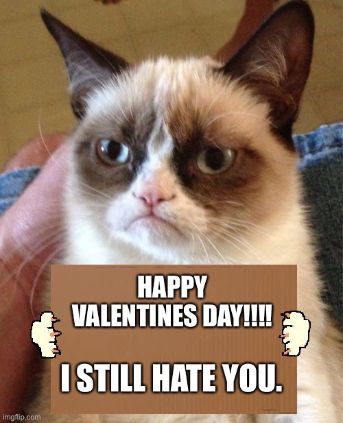 Happy Valentines Day!!!! … I Still Hate You. | HAPPY VALENTINES DAY!!!! I STILL HATE YOU. | image tagged in grumpy cat cardboard sign,love,haters gonna hate,life hack,life lessons | made w/ Imgflip meme maker