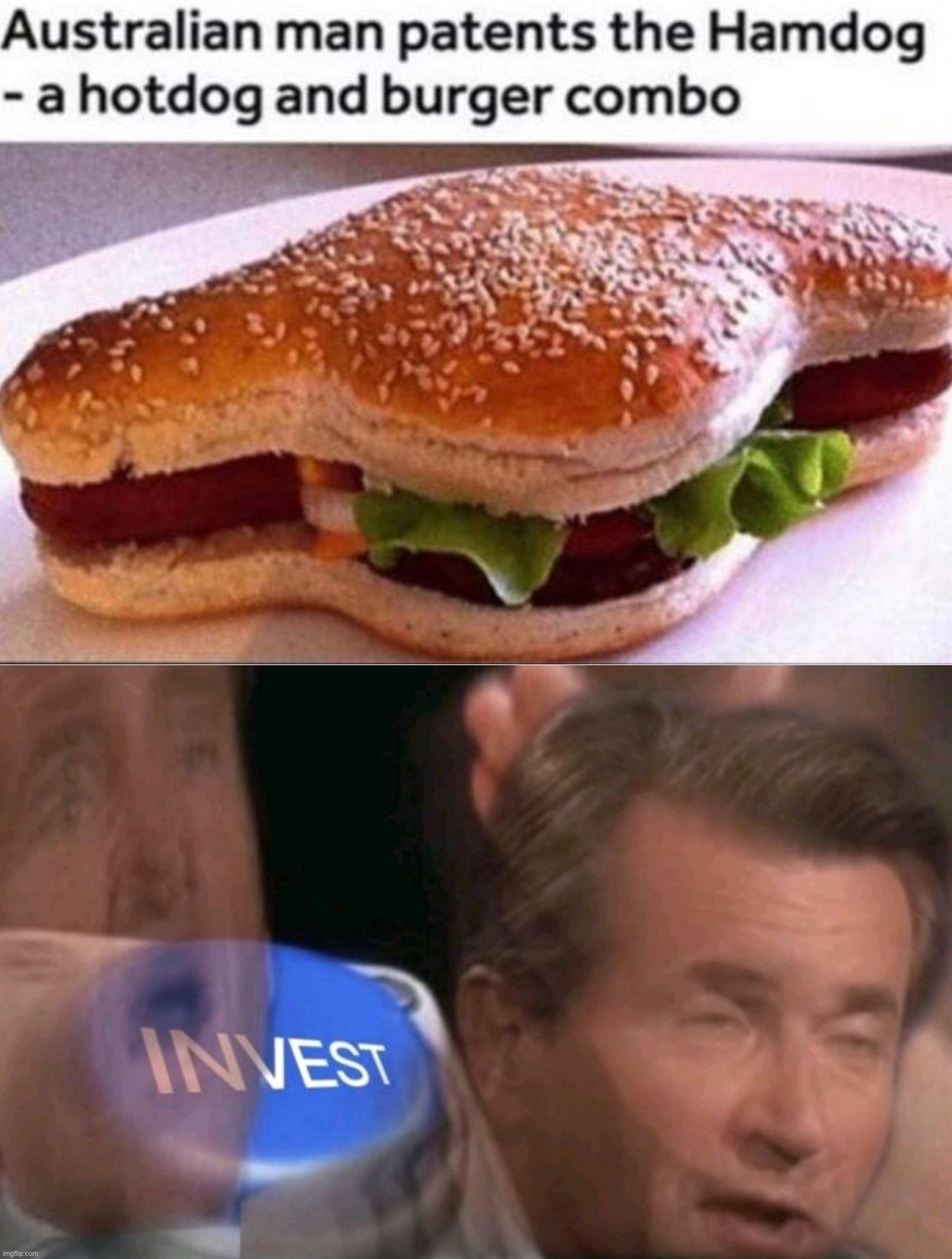 I love the hamdog | image tagged in invest,memes,funny,hamdog,hamburger,hot dog | made w/ Imgflip meme maker