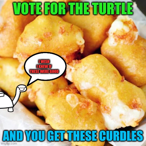 guess you will have to decide! (vote me HOC) (F1 note: wth) | VOTE FOR THE TURTLE; I WISH I KNEW IF THESE WERE GOOD; AND YOU GET THESE CURDLES | made w/ Imgflip meme maker