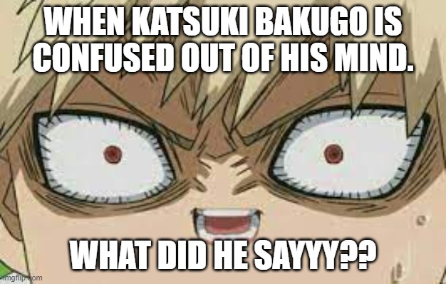 when he is confused | WHEN KATSUKI BAKUGO IS CONFUSED OUT OF HIS MIND. WHAT DID HE SAYYY?? | image tagged in anime,random,cursed image | made w/ Imgflip meme maker