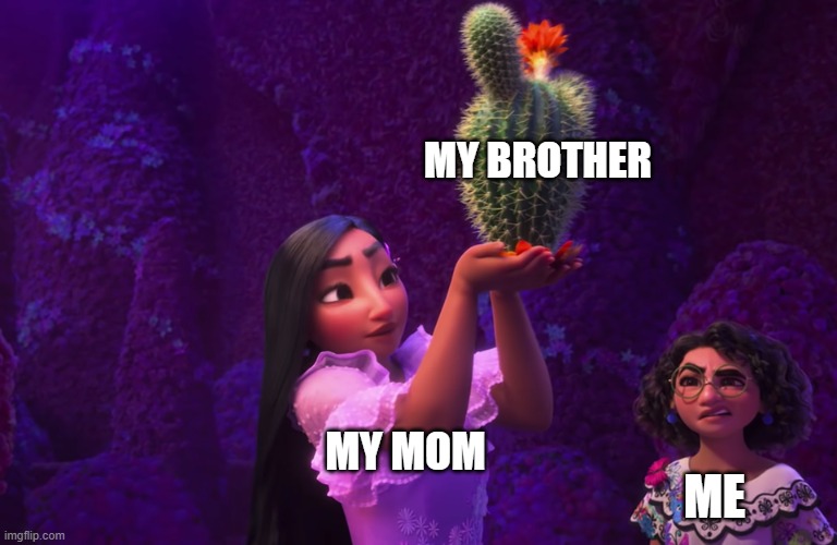 wow | MY BROTHER; MY MOM; ME | image tagged in mirabel and isabella | made w/ Imgflip meme maker
