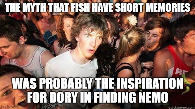 Dory's Origins? | THE MYTH THAT FISH HAVE SHORT MEMORIES; WAS PROBABLY THE INSPIRATION FOR DORY IN FINDING NEMO | image tagged in sudden realization,finding nemo,dory from finding nemo,finding dory,realization,memory | made w/ Imgflip meme maker