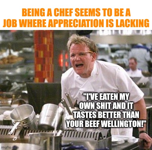 I've seen enough of Ramsey to know you better not become a chef unless you love cooking...and abuse. | BEING A CHEF SEEMS TO BE A JOB WHERE APPRECIATION IS LACKING; "I'VE EATEN MY OWN SHIT AND IT TASTES BETTER THAN YOUR BEEF WELLINGTON!" | image tagged in gordon ramsey meme,jobs,chef | made w/ Imgflip meme maker