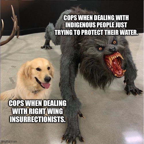 ACAB | COPS WHEN DEALING WITH INDIGENOUS PEOPLE JUST TRYING TO PROTECT THEIR WATER. COPS WHEN DEALING WITH RIGHT WING INSURRECTIONISTS. | image tagged in dog vs werewolf,acab,ottawa,canada,pipeline,native american | made w/ Imgflip meme maker