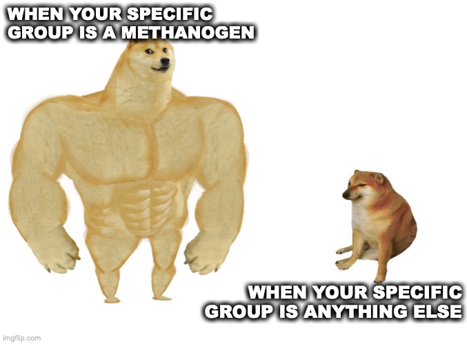 Methanobrevibacter smithii | WHEN YOUR SPECIFIC GROUP IS A METHANOGEN; WHEN YOUR SPECIFIC GROUP IS ANYTHING ELSE | image tagged in methanobrevibacter smithii | made w/ Imgflip meme maker