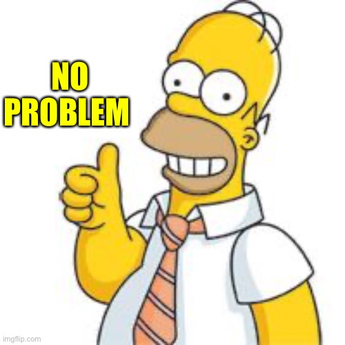 homer no problemo | NO PROBLEM | image tagged in homer no problemo | made w/ Imgflip meme maker