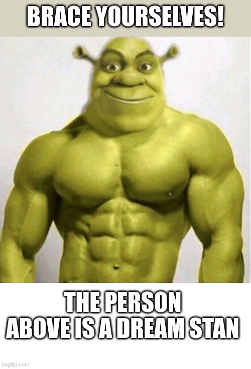 ee | BRACE YOURSELVES! THE PERSON ABOVE IS A DREAM STAN | image tagged in blank white template | made w/ Imgflip meme maker