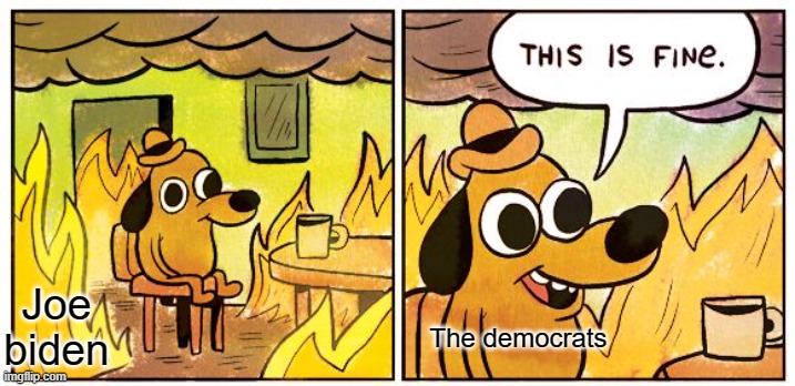 This Is Fine | Joe biden; The democrats | image tagged in memes,this is fine | made w/ Imgflip meme maker