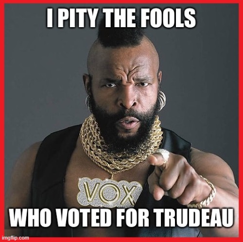 Those Who Vote for Fools are Fools! | image tagged in vince vance,justin trudeau,mister t,fools,memes,mr t | made w/ Imgflip meme maker