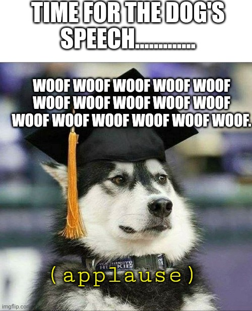 educated husky | TIME FOR THE DOG'S SPEECH............. WOOF WOOF WOOF WOOF WOOF WOOF WOOF WOOF WOOF WOOF WOOF WOOF WOOF WOOF WOOF WOOF. (applause) | image tagged in educated husky | made w/ Imgflip meme maker