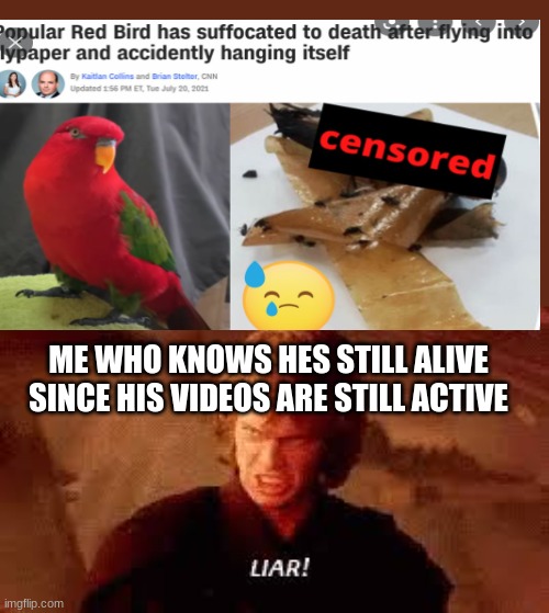 ME WHO KNOWS HES STILL ALIVE SINCE HIS VIDEOS ARE STILL ACTIVE | image tagged in anakin liar | made w/ Imgflip meme maker