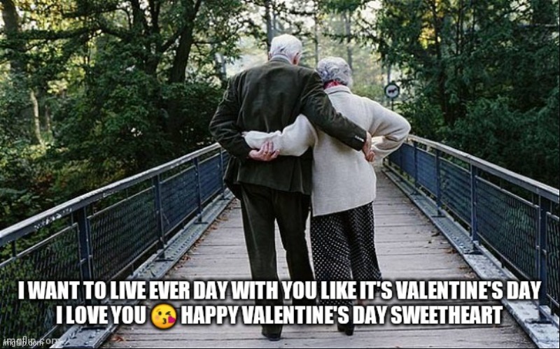 Happy Valentine's Day | image tagged in old couple on bridge,happy valentine's day,love,valentines day memes,happy anniversary memes,love is all you need | made w/ Imgflip meme maker