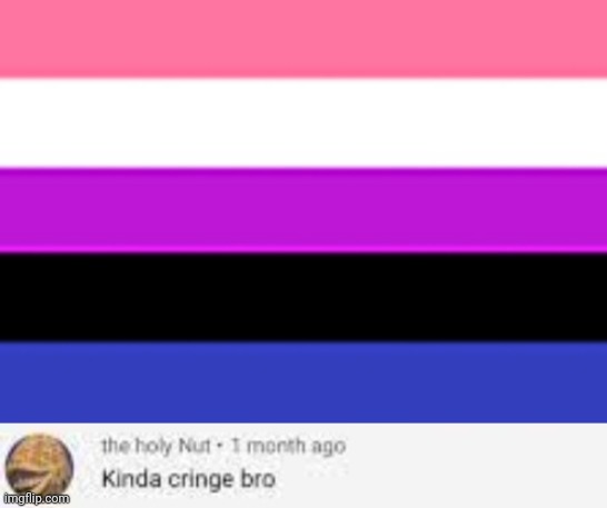 image tagged in genderfluid flag,kinda cringe bro | made w/ Imgflip meme maker