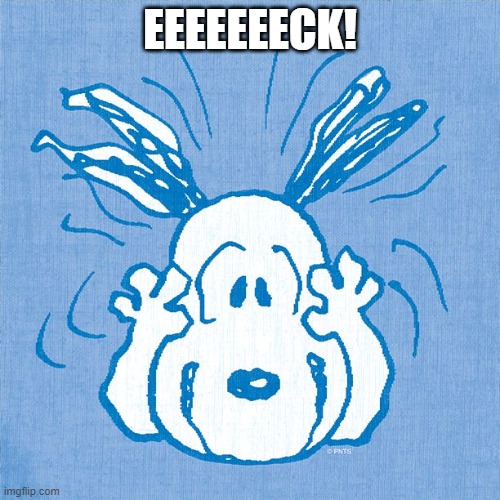 Snoopy Scared Silly | EEEEEEECK! | image tagged in snoopy,scary,scared | made w/ Imgflip meme maker