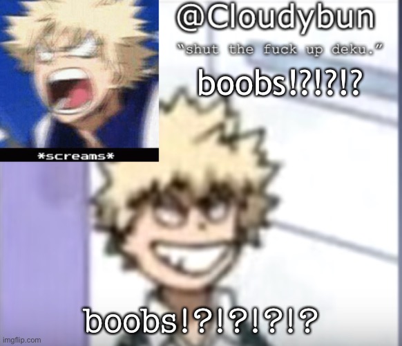 Bakuhoe | boobs!?!?!? boobs!?!?!?!? | image tagged in bakuhoe | made w/ Imgflip meme maker