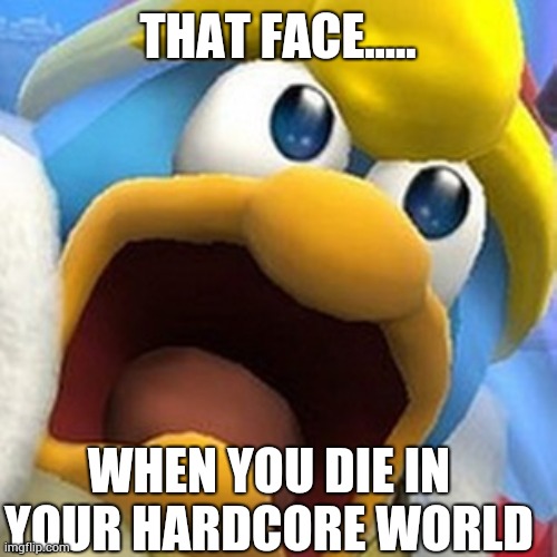 King Dedede oh shit face | THAT FACE..... WHEN YOU DIE IN YOUR HARDCORE WORLD | image tagged in king dedede oh shit face | made w/ Imgflip meme maker