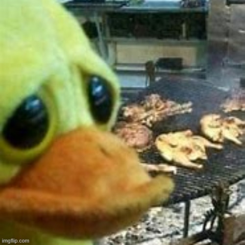 Duck goes depression mode | image tagged in duck,food,sad,cursed | made w/ Imgflip meme maker