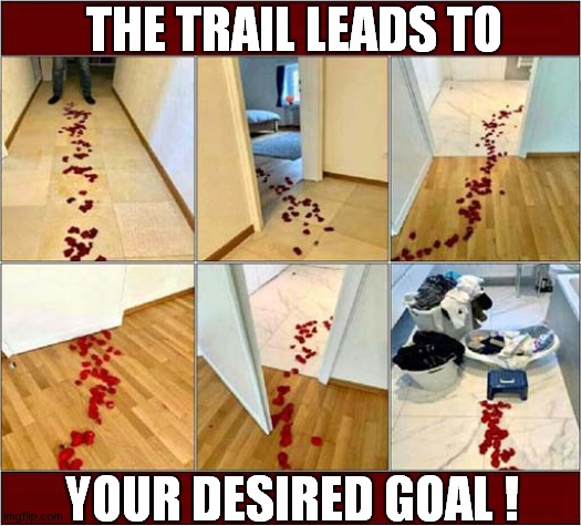 Someone's Going To Be Disappointed ! | THE TRAIL LEADS TO; YOUR DESIRED GOAL ! | image tagged in valentines day,rose petals,wash day | made w/ Imgflip meme maker