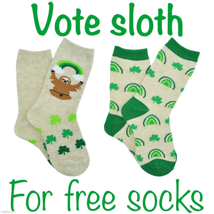 Socks are a practical, everyday gift suitable for anybody on any holiday occasion. | Vote sloth; For free socks | image tagged in sloth st patrick s day socks,socks,are,a,practical,gift | made w/ Imgflip meme maker