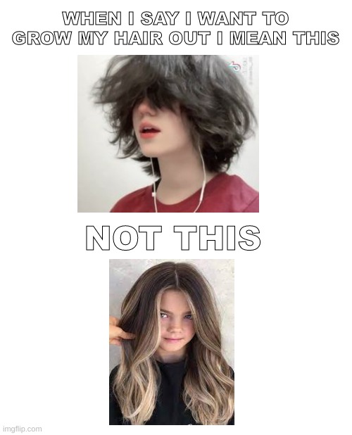 h o n e s t l y | WHEN I SAY I WANT TO GROW MY HAIR OUT I MEAN THIS; NOT THIS | image tagged in blank white template | made w/ Imgflip meme maker