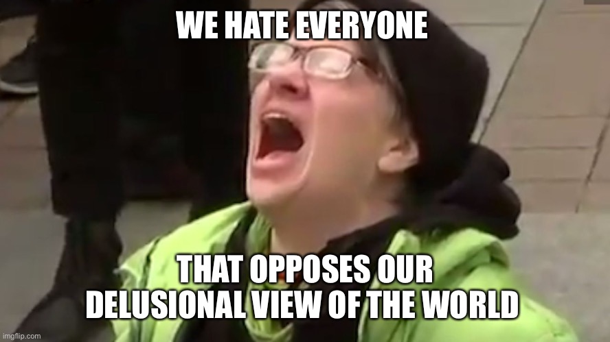 In a nutshell | WE HATE EVERYONE; THAT OPPOSES OUR DELUSIONAL VIEW OF THE WORLD | image tagged in screaming liberal | made w/ Imgflip meme maker