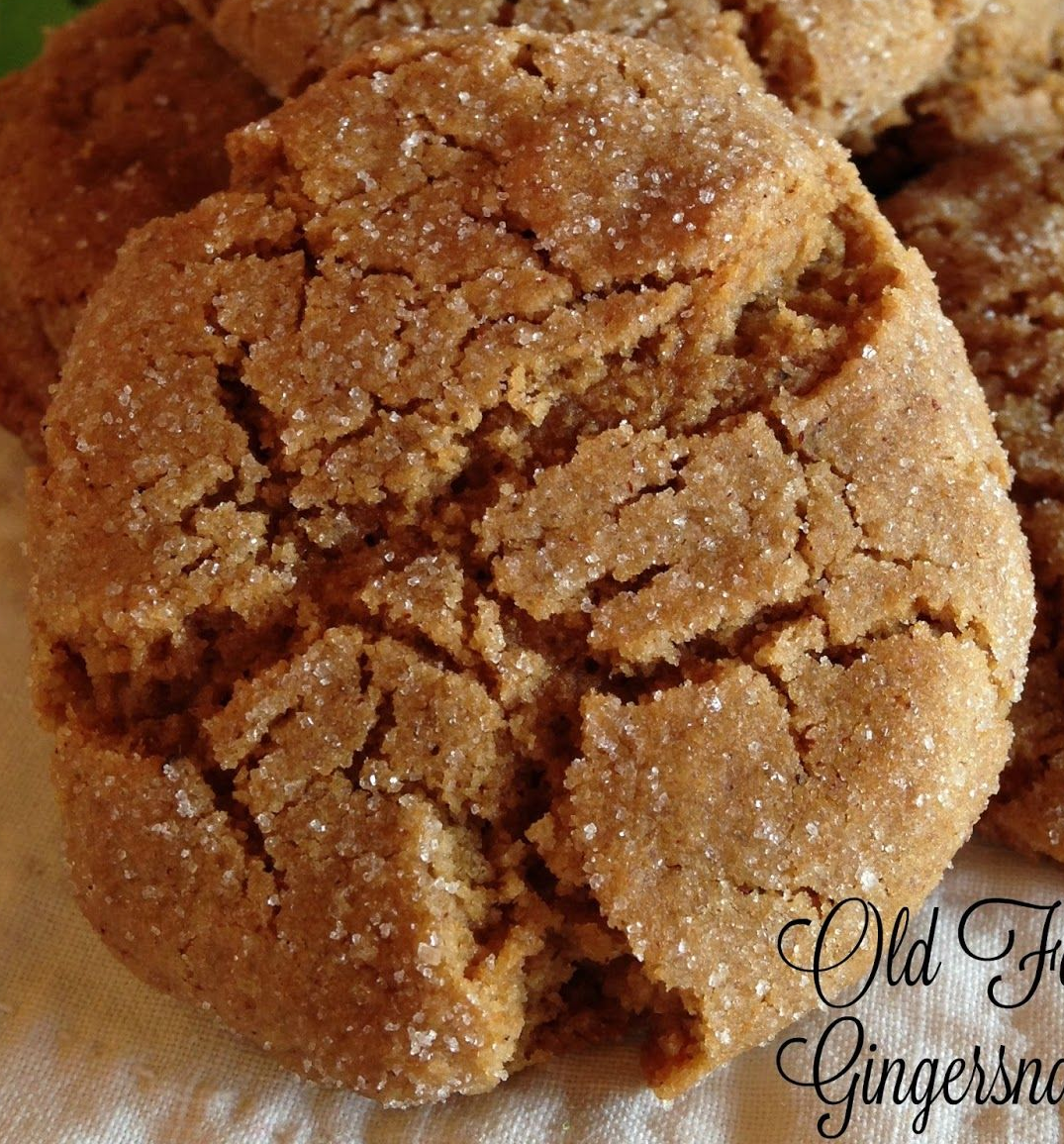 Gingersnap Blank Meme Template