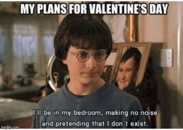 Please don't be my Valentine | image tagged in harry potter | made w/ Imgflip meme maker