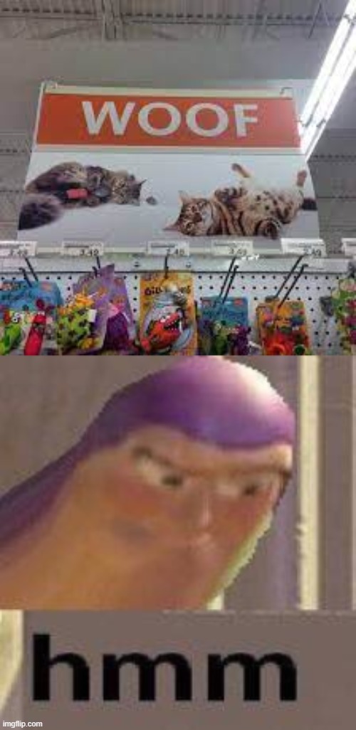 those are not dogs... | image tagged in buzz lightyear hmm | made w/ Imgflip meme maker