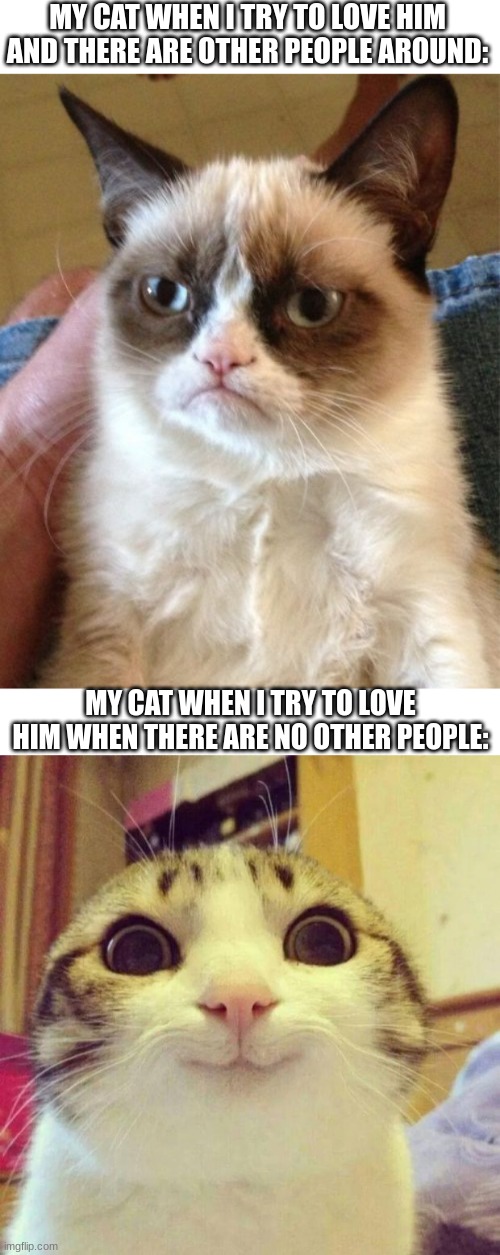 My cat does not want to love me when there are other people/cats around ;-; | MY CAT WHEN I TRY TO LOVE HIM AND THERE ARE OTHER PEOPLE AROUND:; MY CAT WHEN I TRY TO LOVE HIM WHEN THERE ARE NO OTHER PEOPLE: | image tagged in blank white template,memes,grumpy cat,smiling cat | made w/ Imgflip meme maker