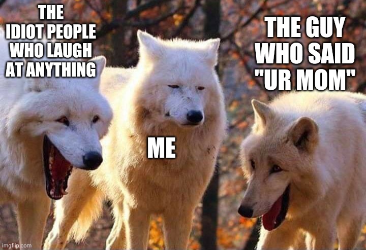 I am more mature than those old your mom jokes | THE IDIOT PEOPLE WHO LAUGH AT ANYTHING; THE GUY WHO SAID "UR MOM"; ME | image tagged in laughing wolf,your mom | made w/ Imgflip meme maker