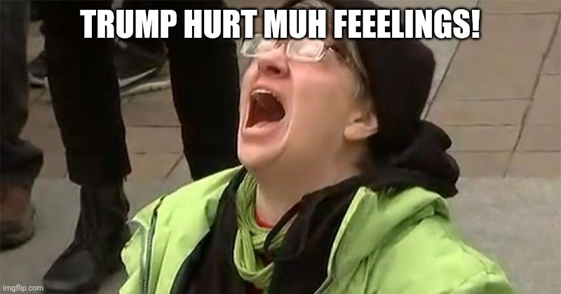 crying liberal | TRUMP HURT MUH FEEELINGS! | image tagged in crying liberal | made w/ Imgflip meme maker