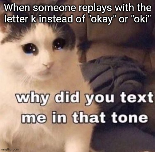 image-tagged-in-why-did-you-text-me-in-that-tone-imgflip