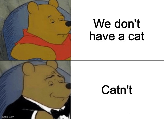 Tuxedo Winnie The Pooh Meme | We don't have a cat Catn't | image tagged in memes,tuxedo winnie the pooh | made w/ Imgflip meme maker