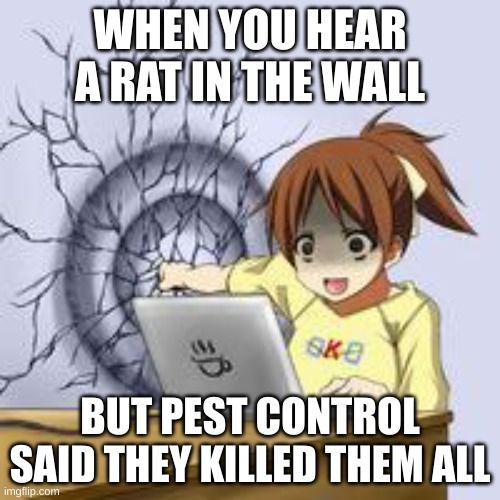 We don´t talk about RATS no no no no | WHEN YOU HEAR A RAT IN THE WALL; BUT PEST CONTROL SAID THEY KILLED THEM ALL | image tagged in anime wall punch | made w/ Imgflip meme maker