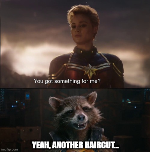 He Had to Comment on the Hair | YEAH, ANOTHER HAIRCUT... | image tagged in captain marvel got something for me,rocket racoon | made w/ Imgflip meme maker