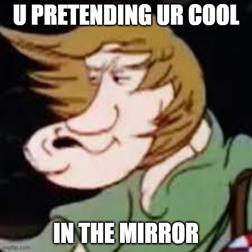U PRETENDING UR COOL; IN THE MIRROR | image tagged in scooby doo,cool | made w/ Imgflip meme maker