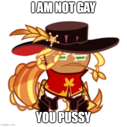 I AM NOT GAY YOU PUSSY | made w/ Imgflip meme maker