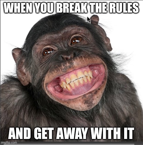 Cringe monkey | WHEN YOU BREAK THE RULES; AND GET AWAY WITH IT | image tagged in cringe | made w/ Imgflip meme maker