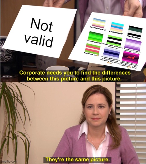 They're The Same Picture | Not valid | image tagged in memes,they're the same picture | made w/ Imgflip meme maker