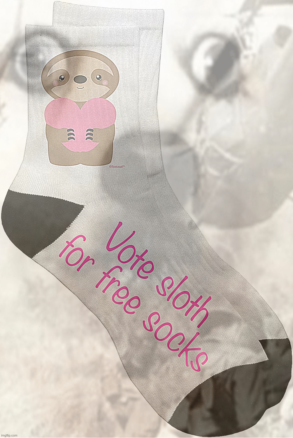 #SlothForHOS2022 donates free socks, blankets, and non-lethal creature comforts to the Ukrainian army in their hour of need. | image tagged in vote,for,sloth,free,socks,and ukrainian independence | made w/ Imgflip meme maker