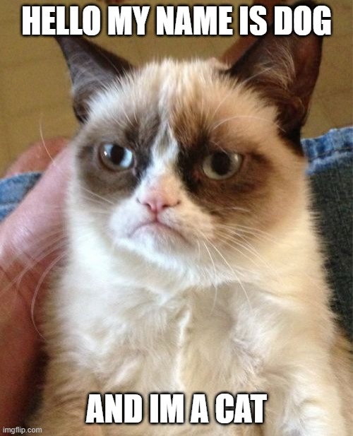 Grumpy Cat | HELLO MY NAME IS DOG; AND IM A CAT | image tagged in memes,grumpy cat | made w/ Imgflip meme maker