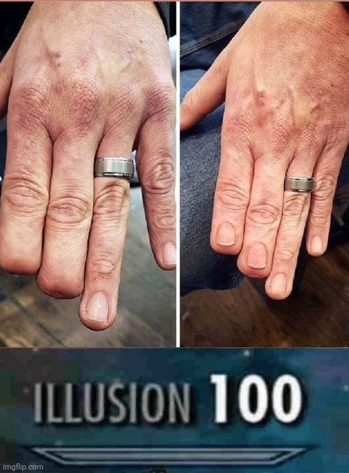 PERFECTION | image tagged in illusion 100,tattoos,tattoo | made w/ Imgflip meme maker