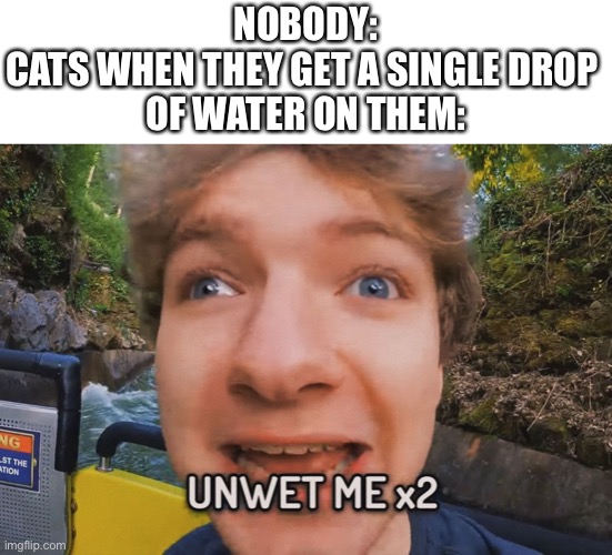 UNWET ME PHIL | NOBODY:
CATS WHEN THEY GET A SINGLE DROP 
OF WATER ON THEM: | image tagged in unwet me,cats,tommyinnit | made w/ Imgflip meme maker