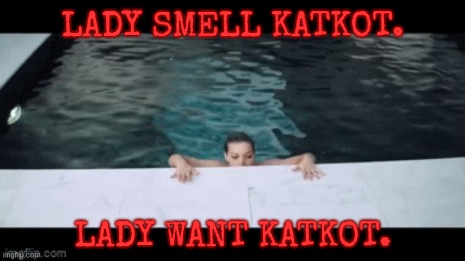 katkot lol | LADY SMELL KATKOT. LADY WANT KATKOT. | image tagged in smell's katkot | made w/ Imgflip meme maker