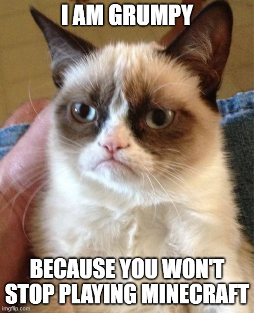 Stop playing Minecraft | I AM GRUMPY; BECAUSE YOU WON'T STOP PLAYING MINECRAFT | image tagged in memes,grumpy cat,funny,animals,cats,minecraft | made w/ Imgflip meme maker